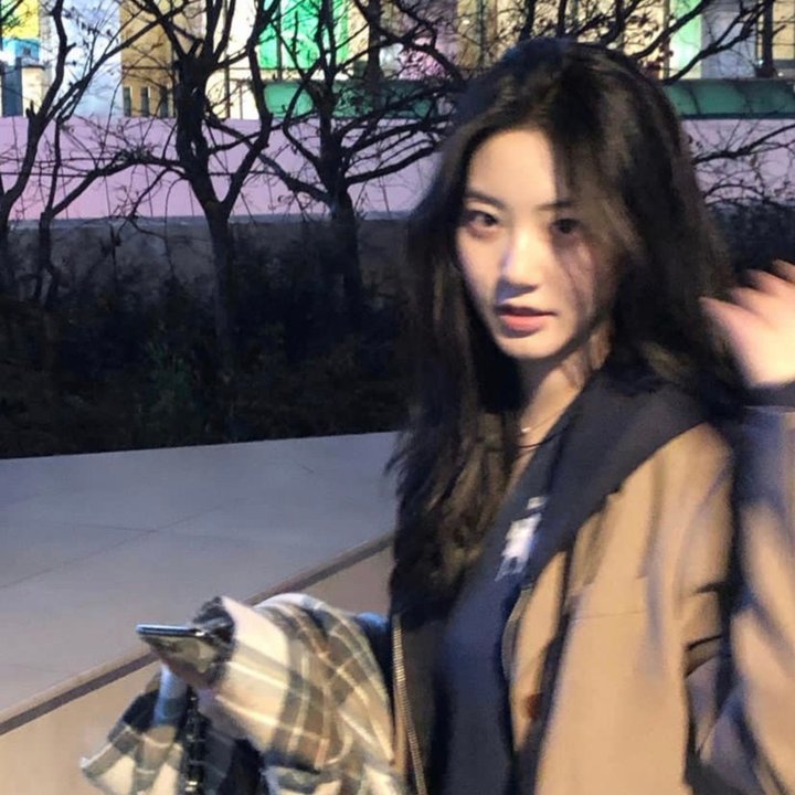 战地情莺